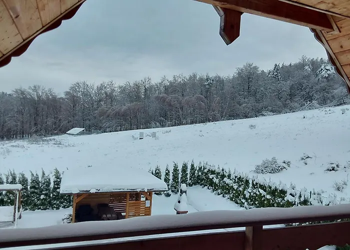 Dom U Julii Bieszczady