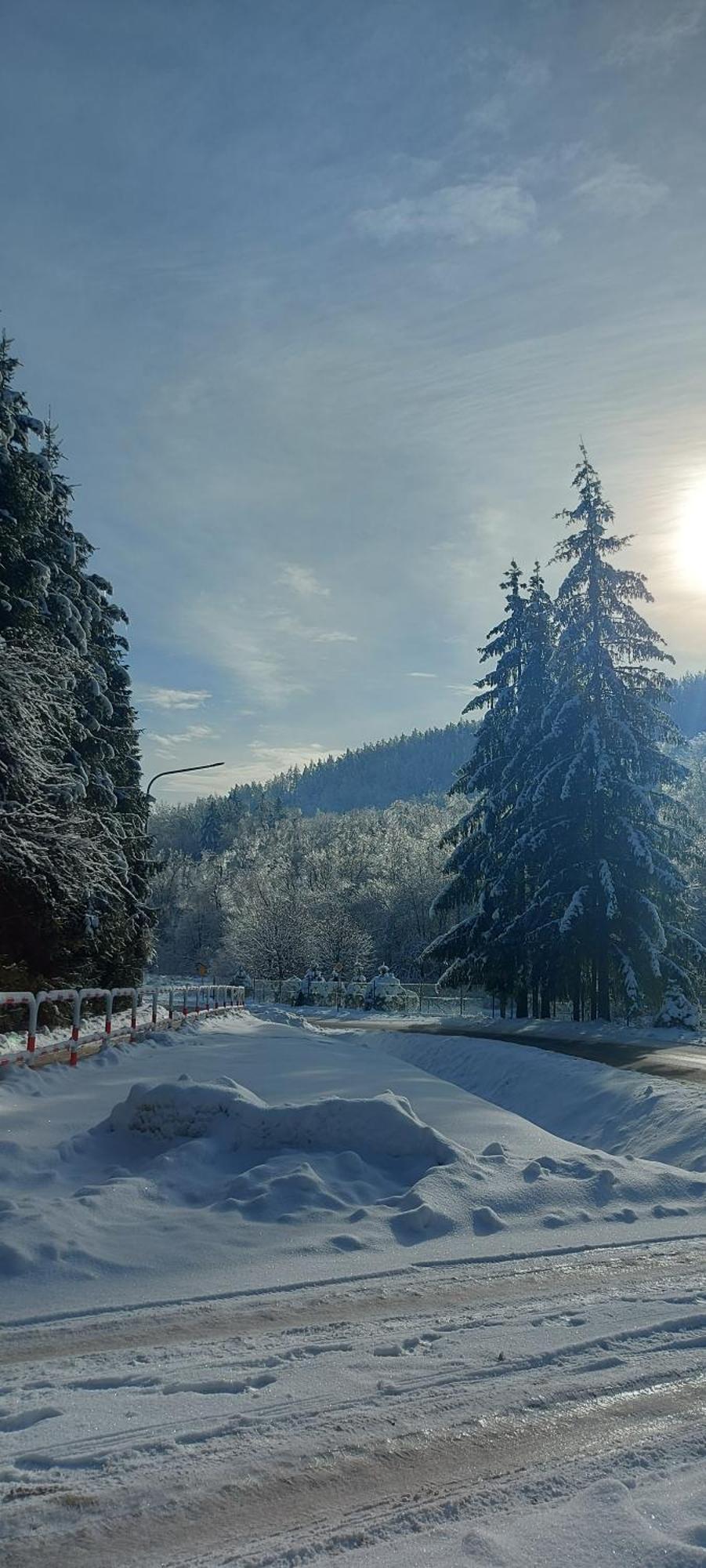 Villa Dom U Julii Bieszczady