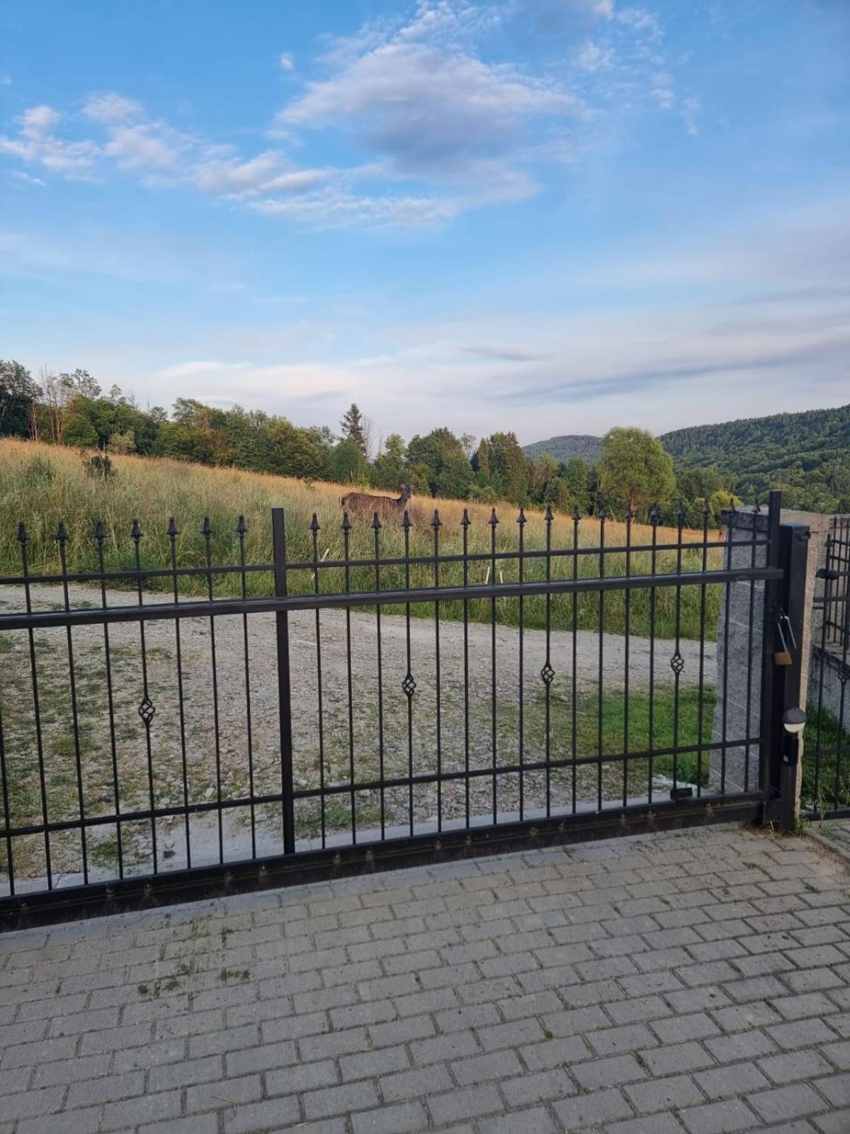 Dom U Julii Bieszczady